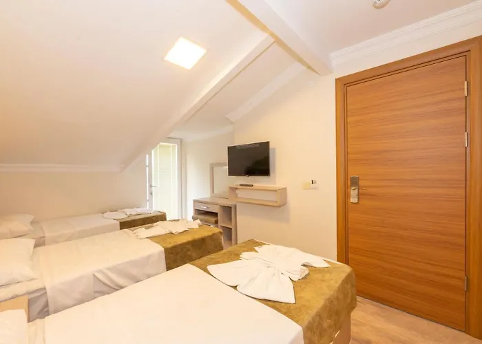 酒店 Bazaar Old 伊斯坦布尔