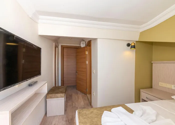 Bazaar Old 酒店 伊斯坦布尔