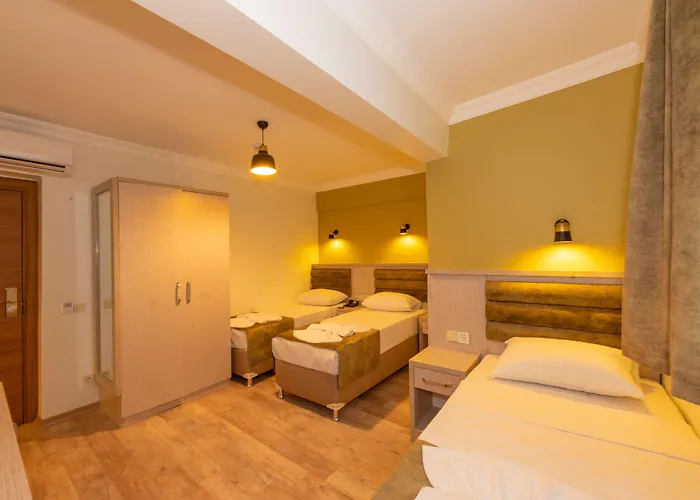 酒店 Bazaar Old 伊斯坦布尔